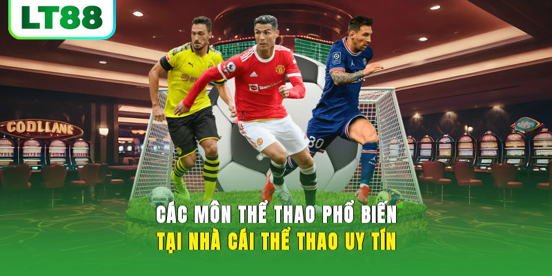 Các môn thể thao phổ biến tại nhà cái thể thao uy tín