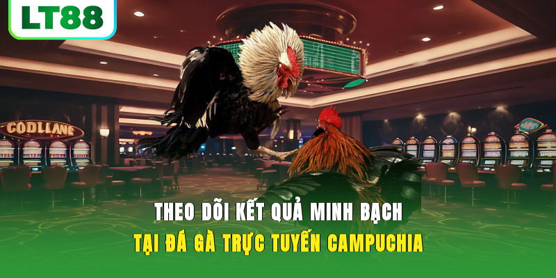 Theo dõi kết quả minh bạch tại đá gà trực tuyến Campuchia