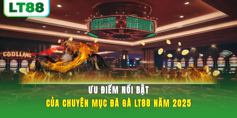Ưu điểm nổi bật của chuyên mục đá gà LT88 năm 2025